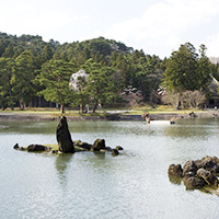 毛越寺